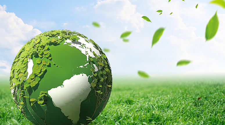 Sustainability